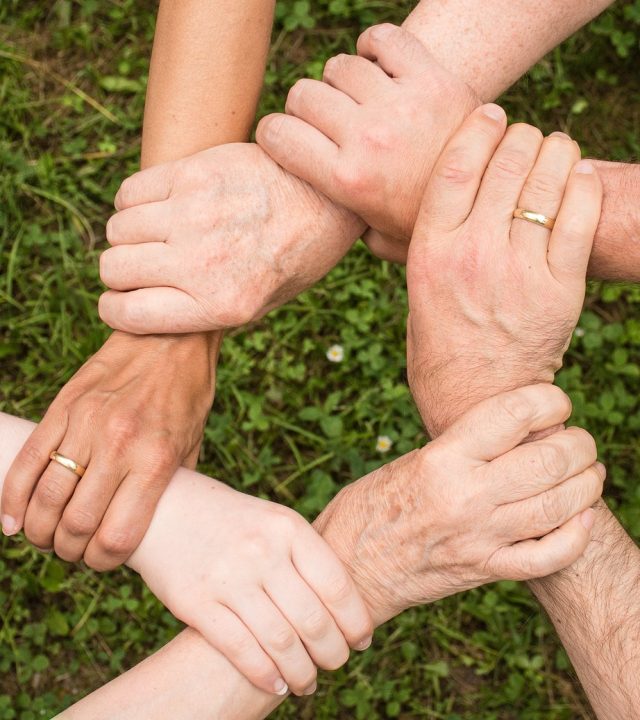 team spirit, teamwork, community, support, together, family, team, group, trust, partnership, cooperation, unity, community, community, family, family, family, family, family, team, trust